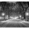 Central Park 