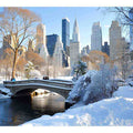 Central Park in Winter 