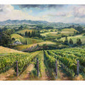South Australia Vineyard 