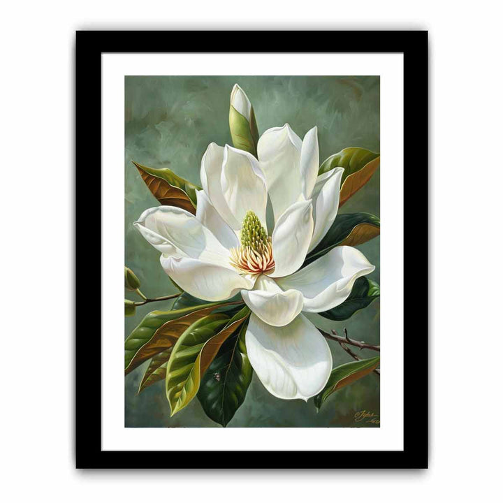 Magnolia Grandiflora Painting framed Print