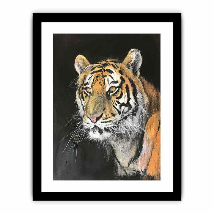 Tiger  Art Print