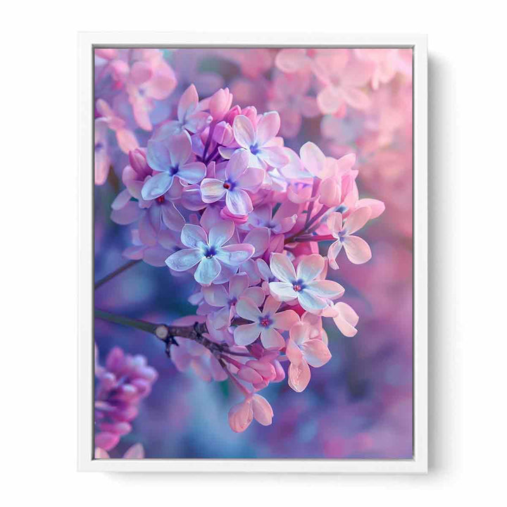 Beautiful Leaves  Framed Print