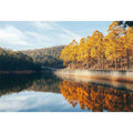 Golden Reflections canvas artwork for modern luxury interior decor