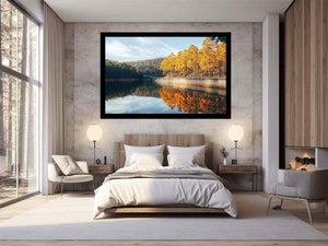 Golden Reflections