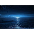 moonlit ocean seascape artwork for modern living room decor