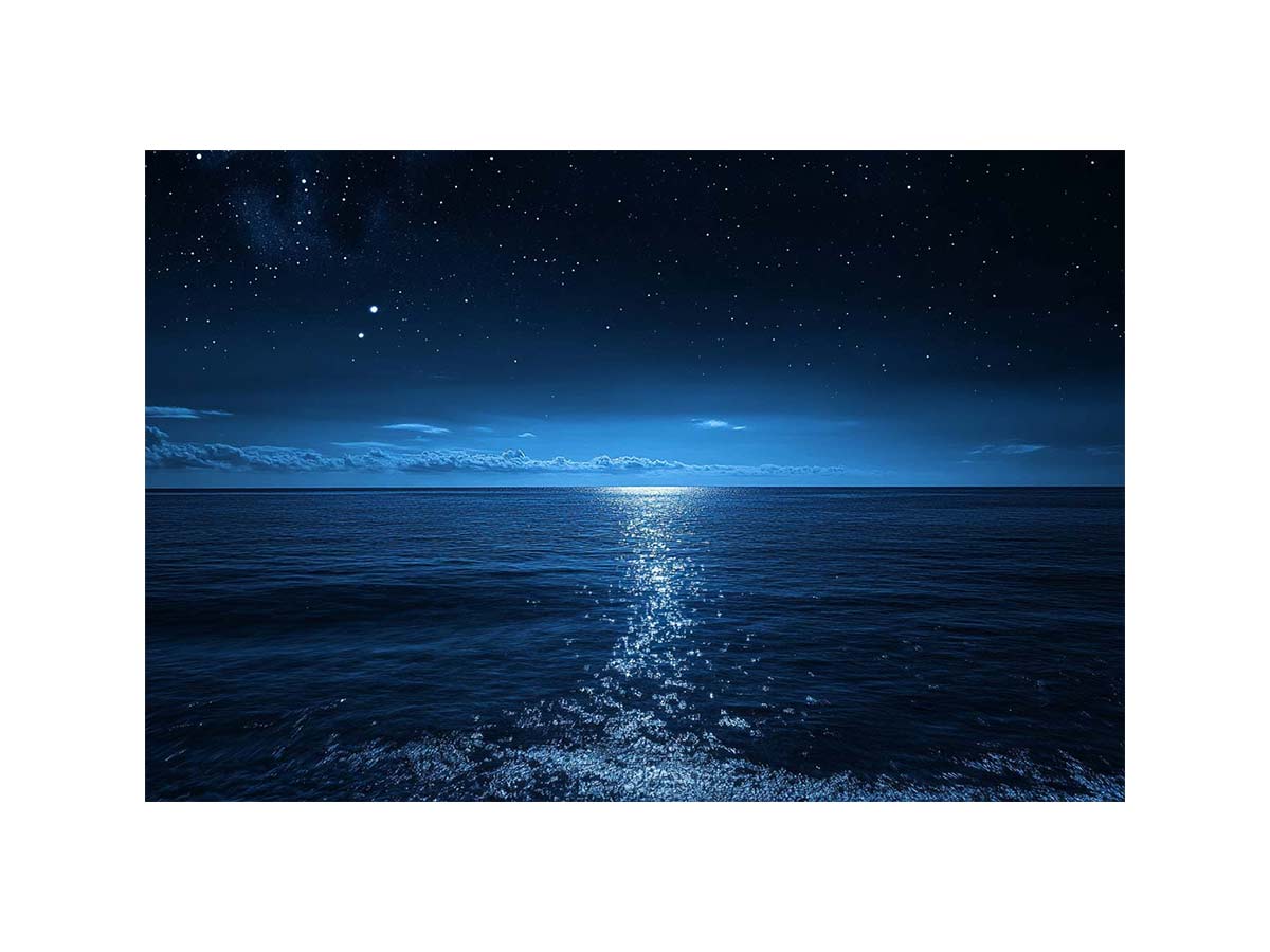moonlit ocean seascape artwork for modern living room decor