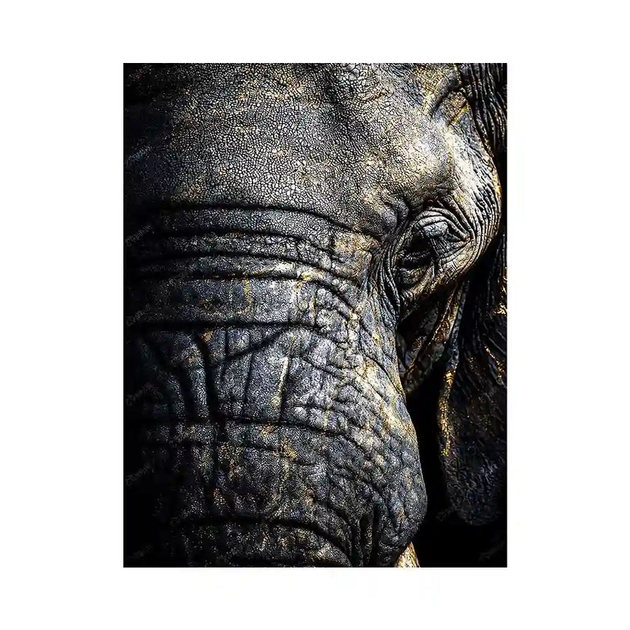 Luxury elephant portrait canvas art with gold accents for living room decor.