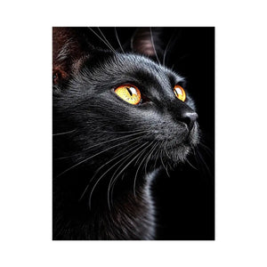 Black cat portrait canvas art with amber eyes for modern room decor.