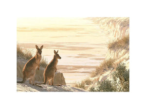 Coastal kangaroo wildlife canvas art for beach house or modern living room decor.