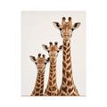 Square giraffe trio canvas art for nursery and kids room decor.