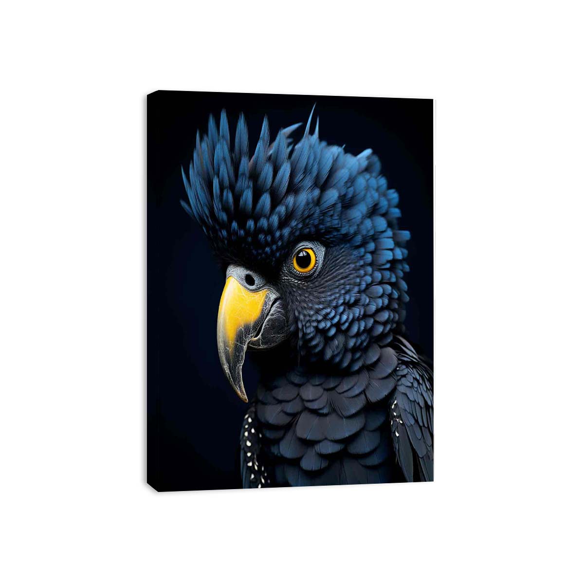 Black cockatoo portrait with blue feathers and golden beak for luxury office wall art.