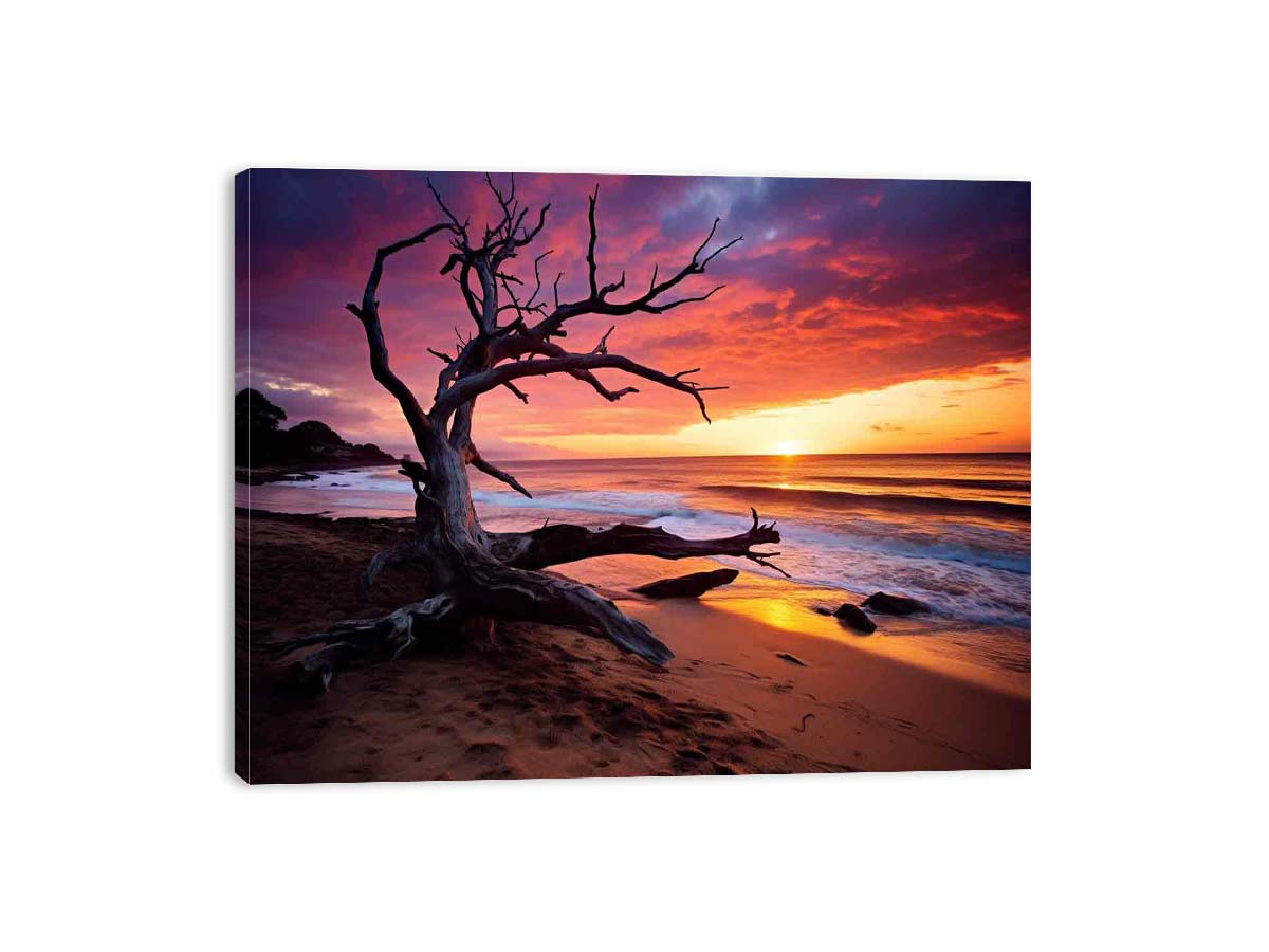 Driftwood tree on beach at glowing sunset for warm coastal living room wall art.