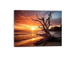 Botany Bay Australia beach sunset with sculptural tree for coastal living room wall art.