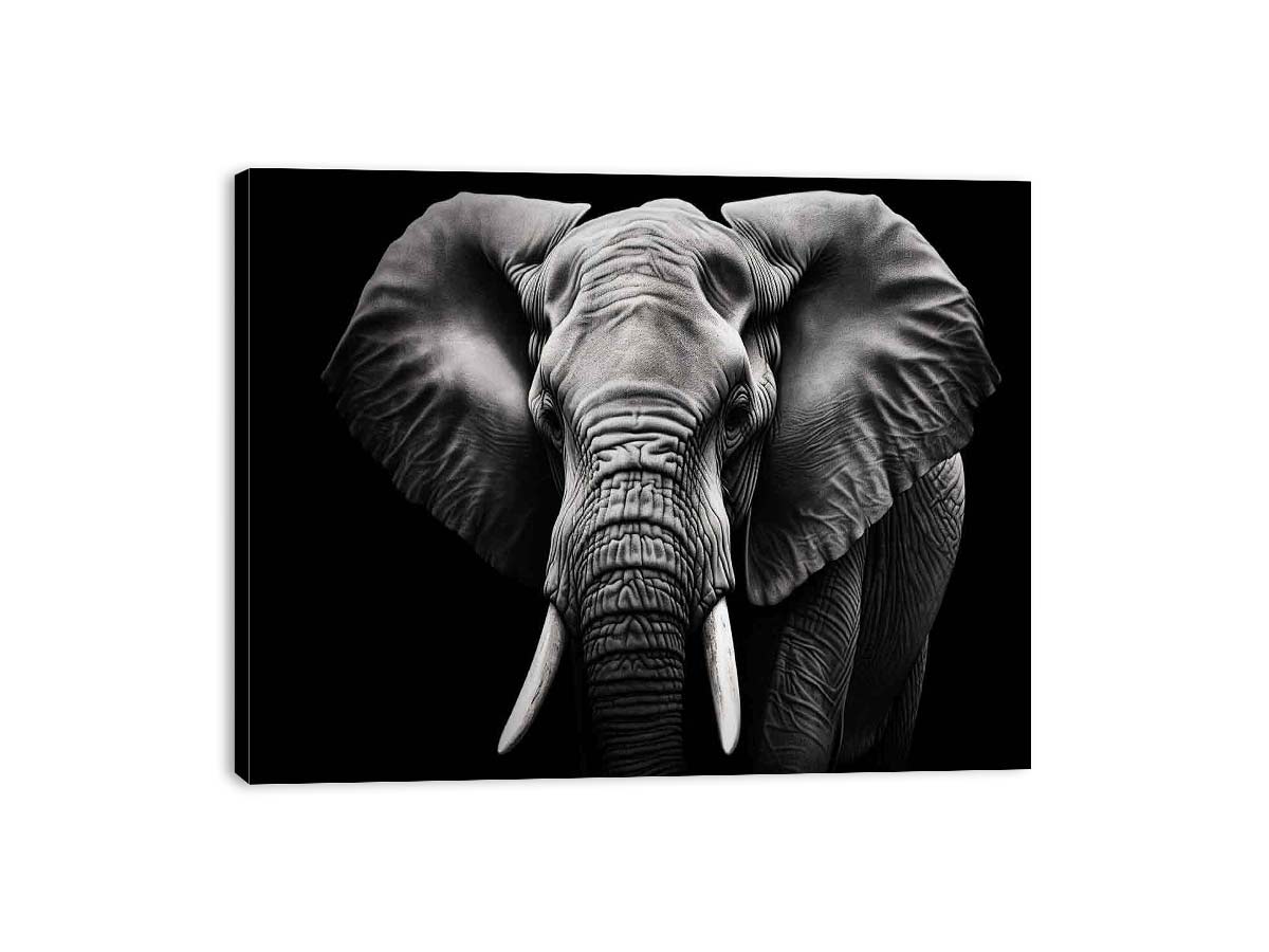 Black and white elephant canvas art for dramatic modern living room or office decor.