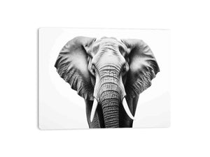 Black and white elephant portrait with dramatic ears for modern living room decor.