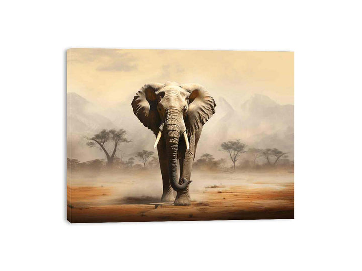 Streched canvas