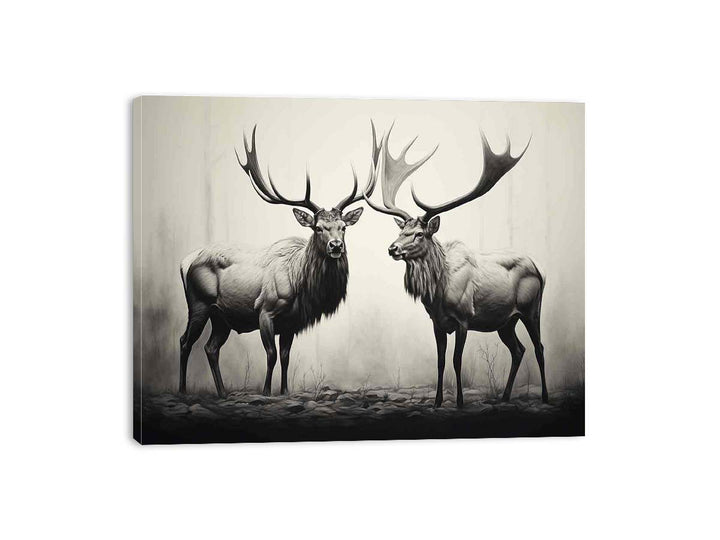 Streched canvas