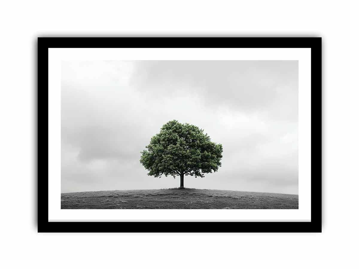 Framed Print