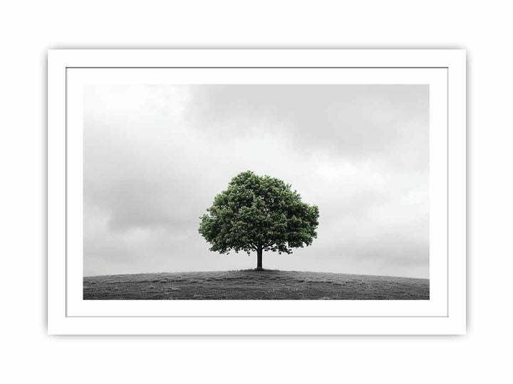 Green Tree Streched canvas