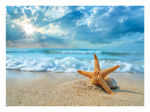 Sunlit Starfish Shore canvas art featuring starfish, shell, beach waves and sunlit sky for modern living room decor.