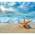 Starfish on Beach 
