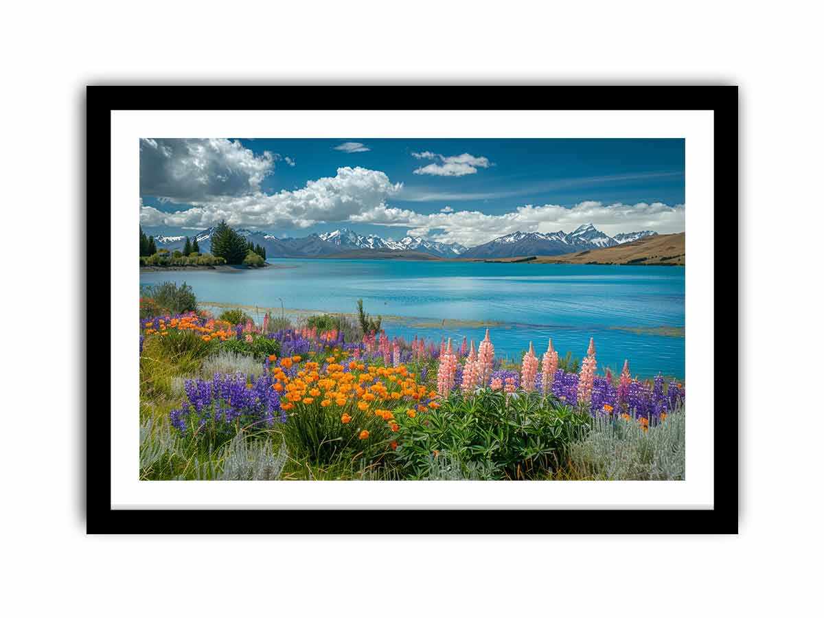 Framed Print