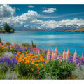 Lake Tekapo New Zealand