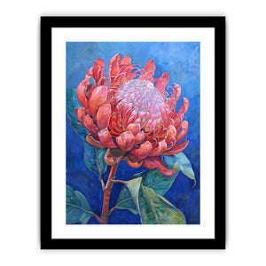 Framed Print