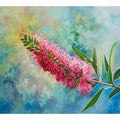 Bottlebrush