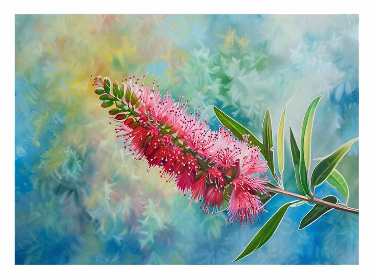 Bottlebrush