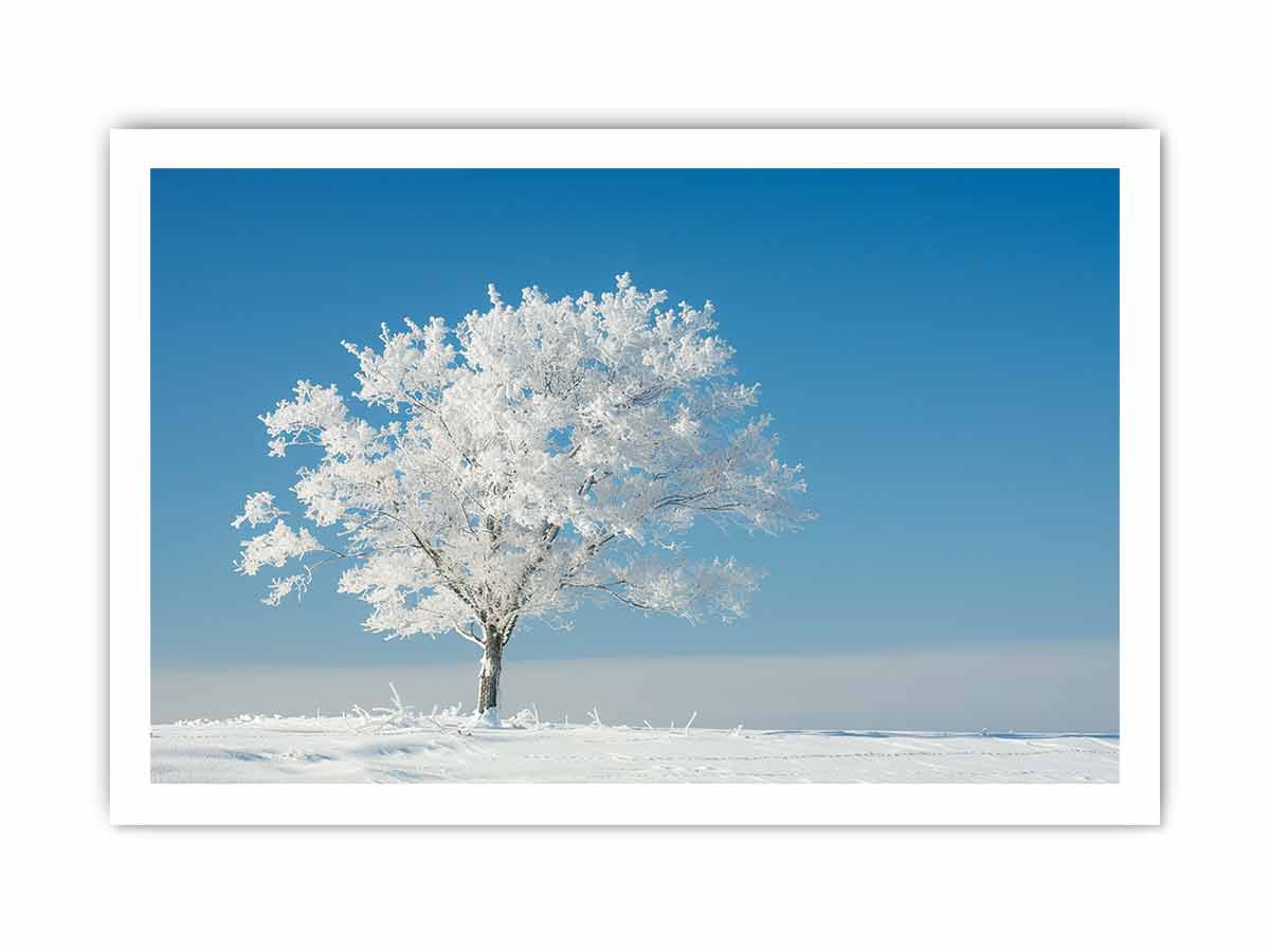 Frosted Solitude minimal winter landscape photography for bedroom decor.