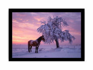 Horse beside frosted winter tree under violet sunset sky for peaceful wall art.