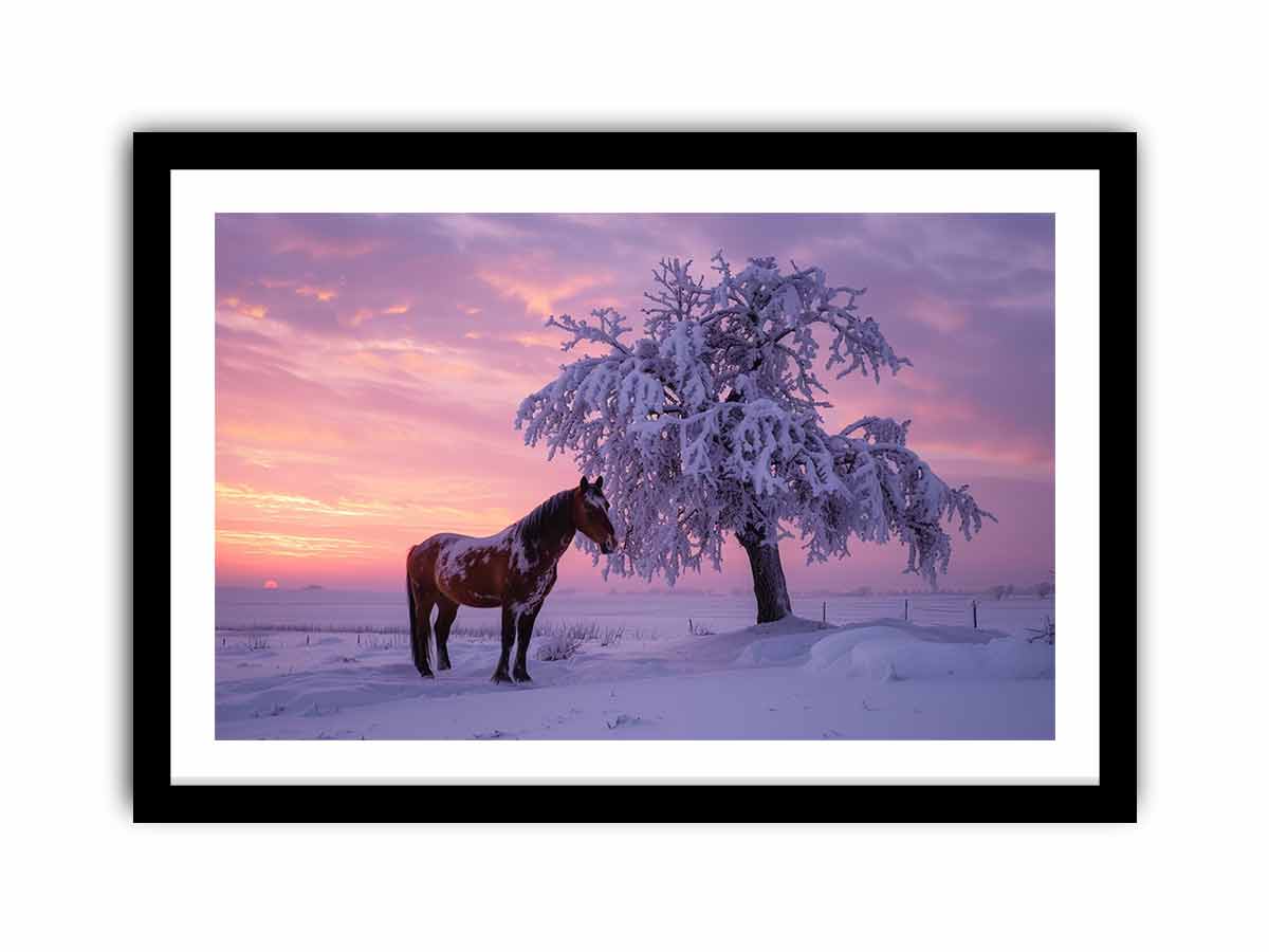 Framed Print