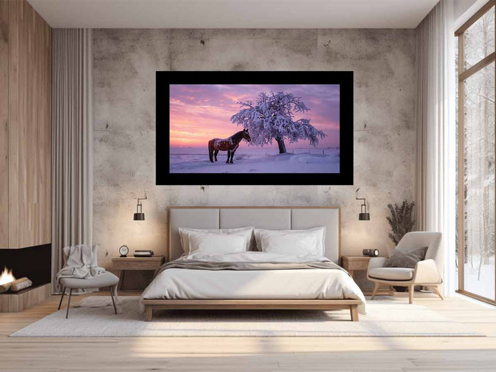 Horse In Winter 