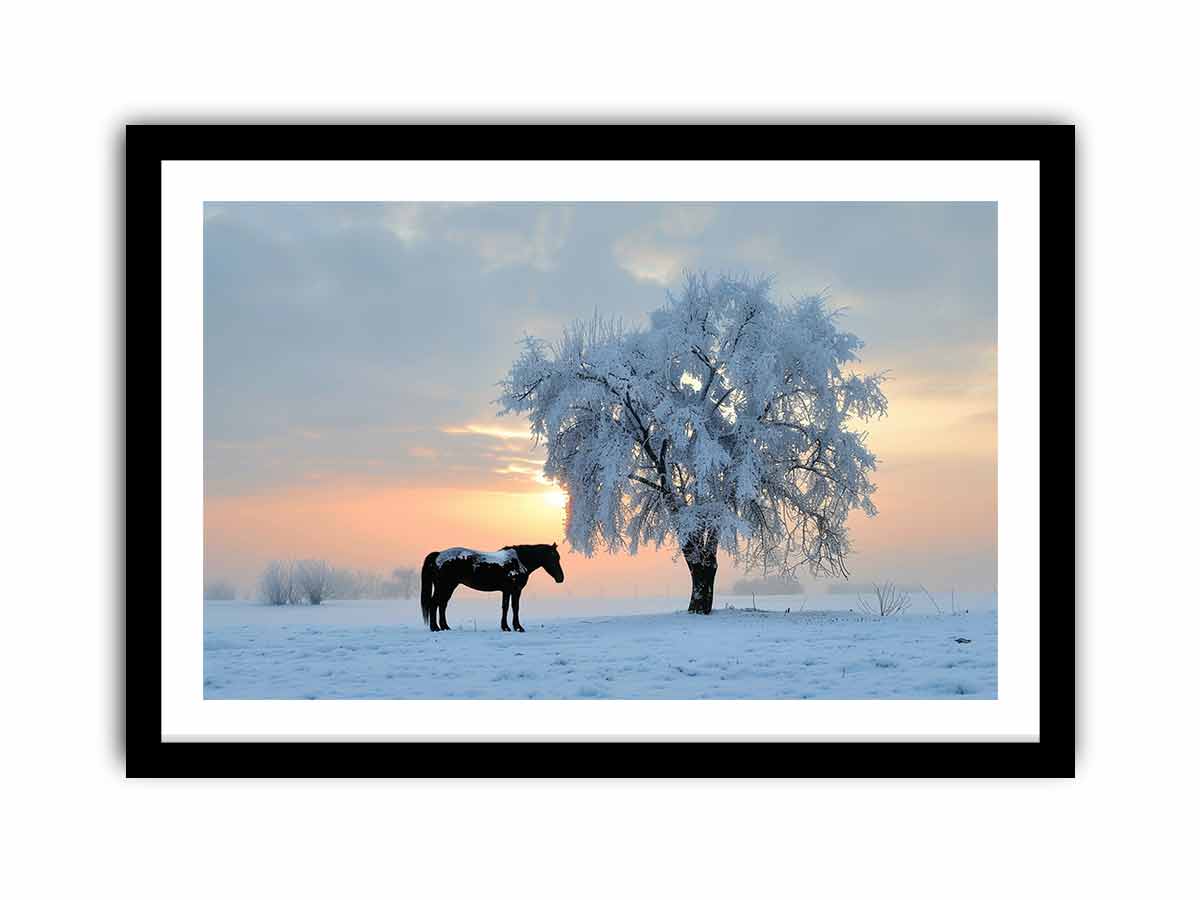 Framed Print
