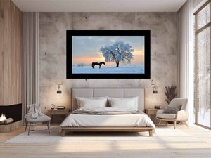 Horse In Winter 