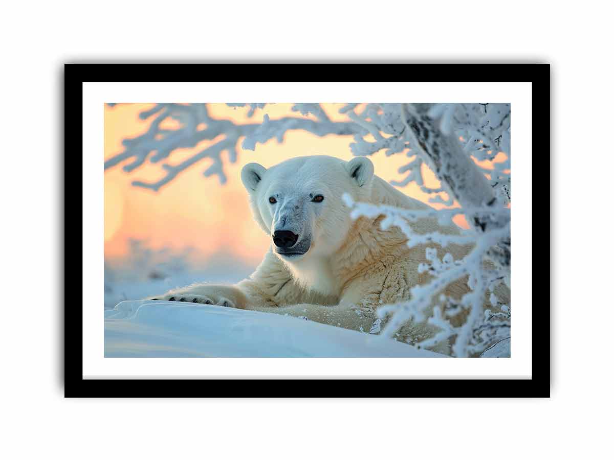 Polar bear resting in snowy Arctic scene for serene wildlife canvas wall art.