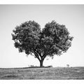 Black and white lone heart-shaped tree canvas art for minimalist room decor.
