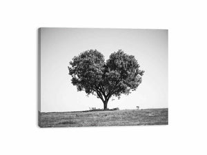 Black and white lone heart-shaped tree canvas art for minimalist room decor.
