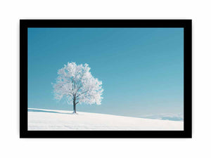 Lone frosted tree in snow under blue sky for minimalist canvas wall art.