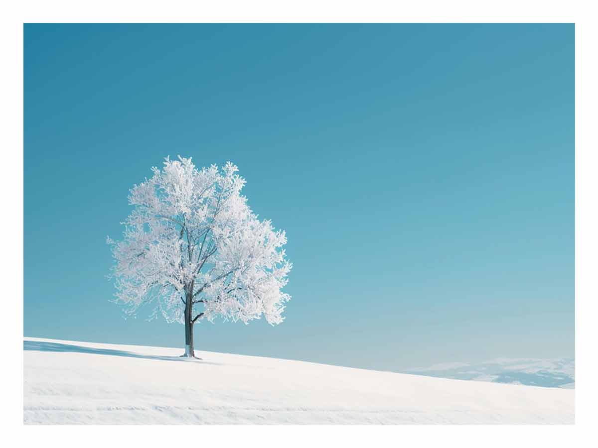 Lone frosted tree in snow under blue sky for minimalist canvas wall art.