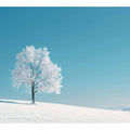 Winter Tree 