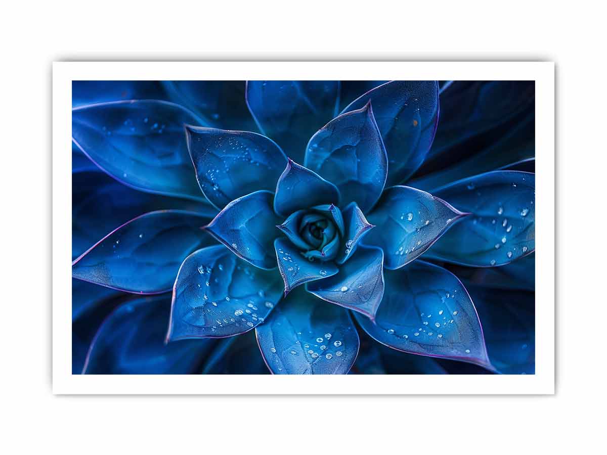 Moody blue succulent canvas art with water droplets for elegant modern room decor.