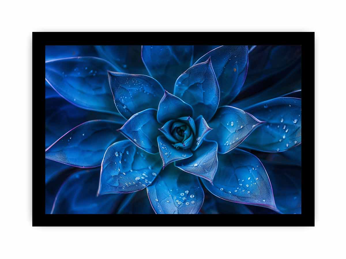 Moody blue succulent canvas art with water droplets for elegant modern room decor.