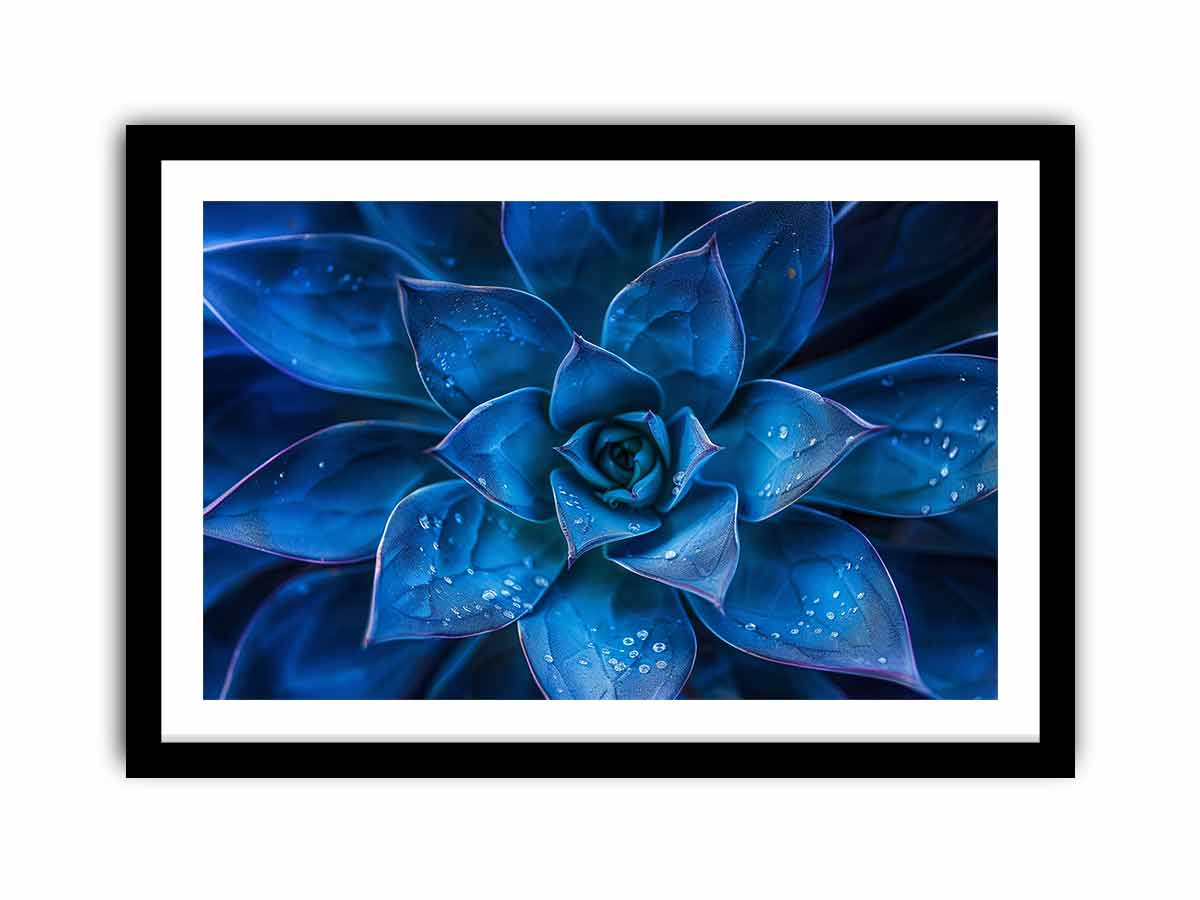 Moody blue succulent canvas art with water droplets for elegant modern room decor.