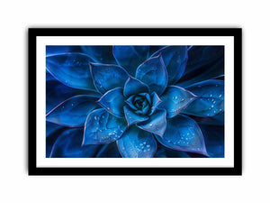 Moody blue succulent canvas art with water droplets for elegant modern room decor.
