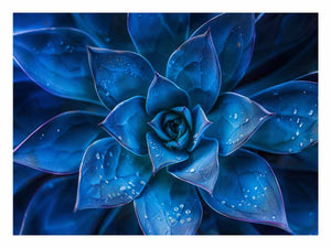 Moody blue succulent canvas art with water droplets for elegant modern room decor.