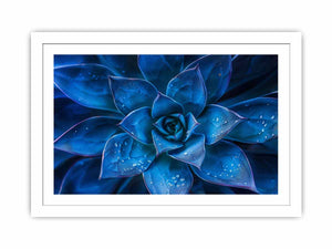 Moody blue succulent canvas art with water droplets for elegant modern room decor.