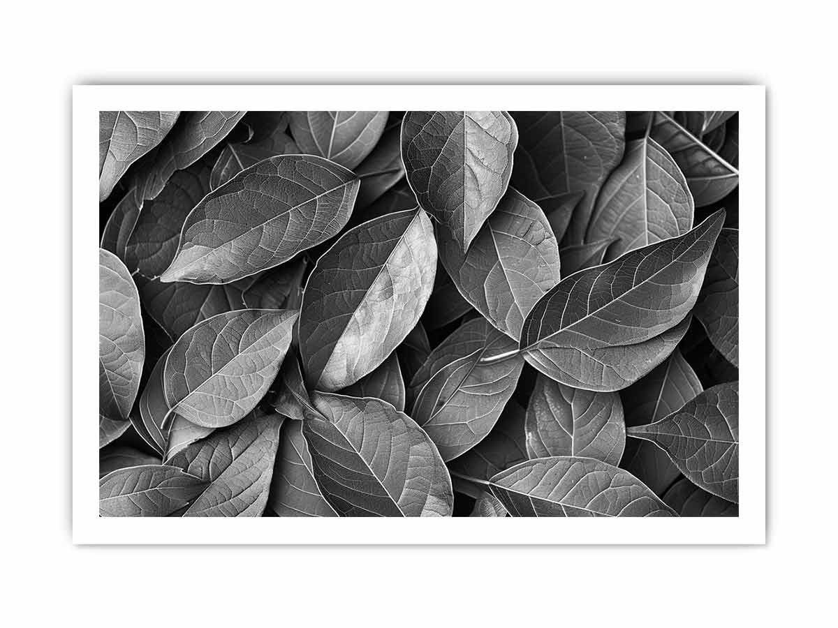 Black and white botanical leaves canvas art for calm modern bedroom decor.