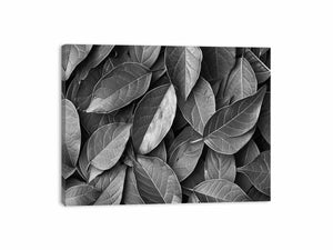 Black and white botanical leaves canvas art for calm modern bedroom decor.